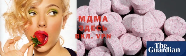 дмт Алзамай