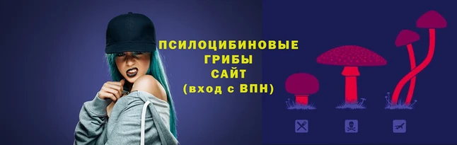 хмурый Вязьма