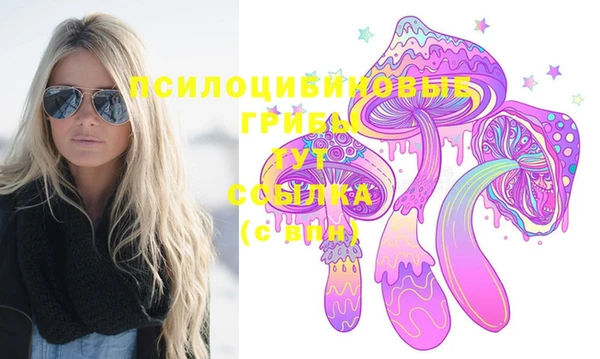 дмт Алзамай