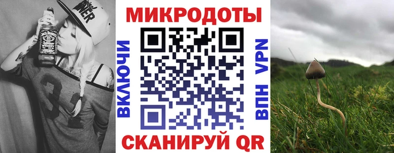 кракен зеркало магазин наркотиков Пучеж Псилоцибиновые грибы Magic Shrooms